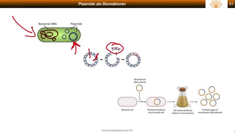 Molekularbiologische Kernschmelze