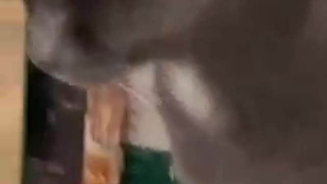 Fizeste me chorar Márciaaaa. . .