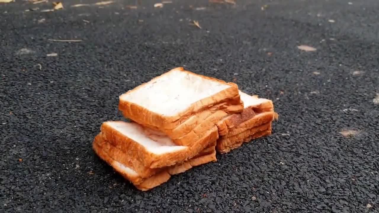 Experiment: Car vs Giant Fish - Crushing Crunchy & Soft Things by Car