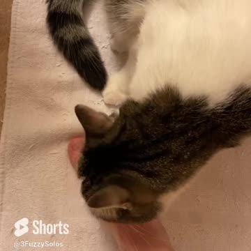 After shower foot wash