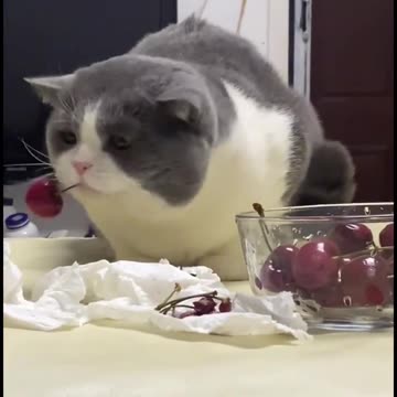 Ma brought me a new toy 🤣