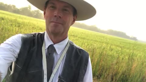 Thomas Jefferson Was No Racist, and Neither is America