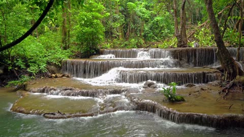 Beautiful Relaxing Water Stream