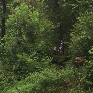 Zip Lining Boy Nearly Knocks Mom's Head Off After Insane Mid Air Collision
