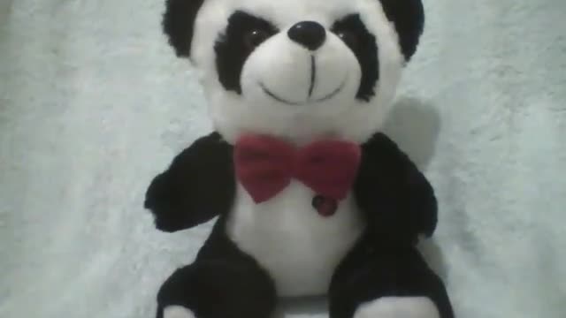 Cute black and white stuffed panda with a red tie, there's a ladybug! [Nature & Animals]