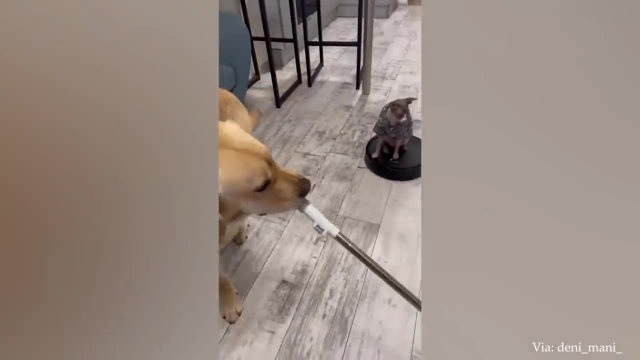Cleaning time