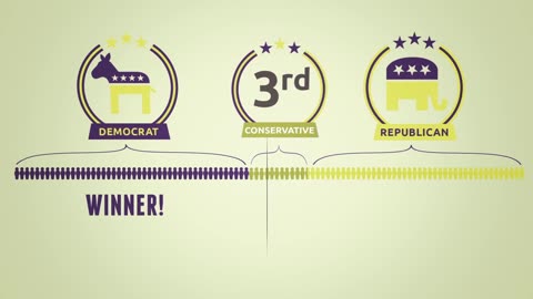 Ranked Choice Voting vs The Establishment