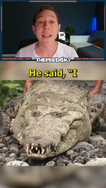 Shorts - Dangerous Friends