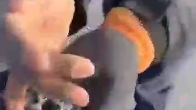 Canada - They throw nails on the highway to slow down the convoy.