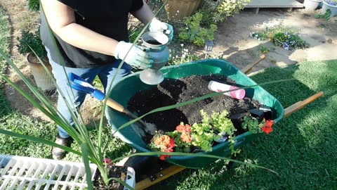 Planting new things in the country garden 2023