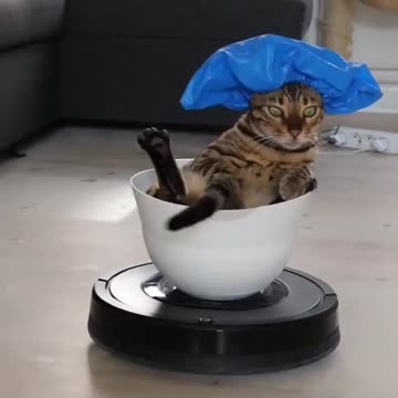 This is how you help in cleaning the house