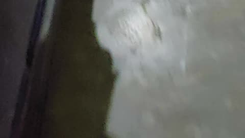 Pov