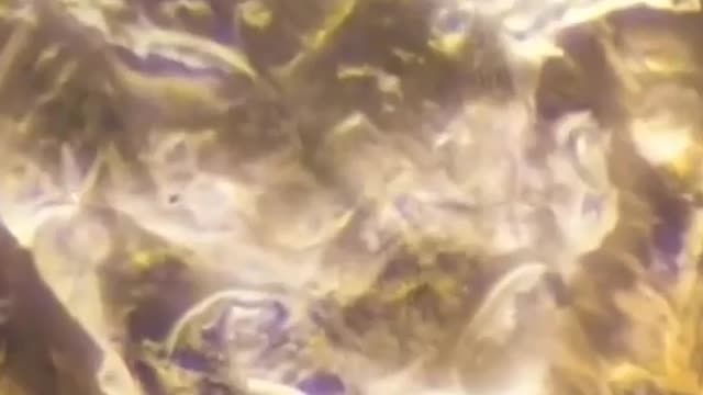 Micro view