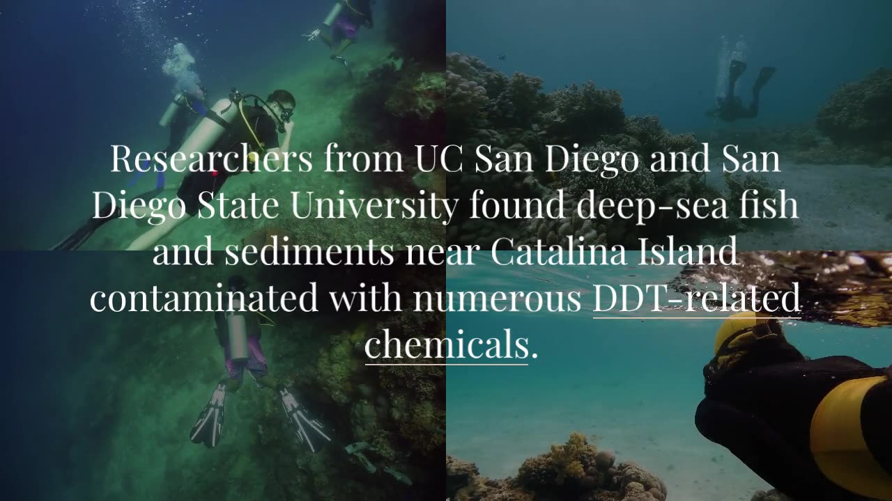 Toxic Legacies: The Lasting Threat of Historic DDT Dumping off Los Angeles Coast