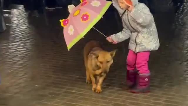 Little boy saving his Dog with Umbrella while raining