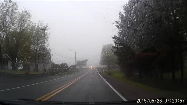Large Dog Gets HIT by a Car (GRAPHIC VIDEO)