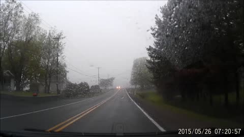Large Dog Gets HIT by a Car (GRAPHIC VIDEO)
