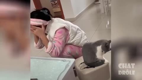 Funny video dog and cat masti