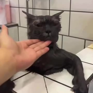 I don’t think a good survey feedback is coming from this one