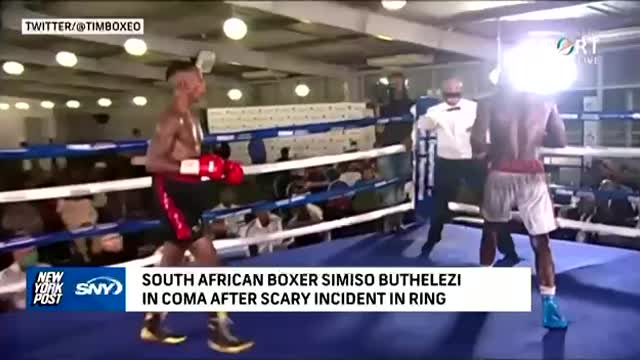 Scoppia il cervello del boxer africano.