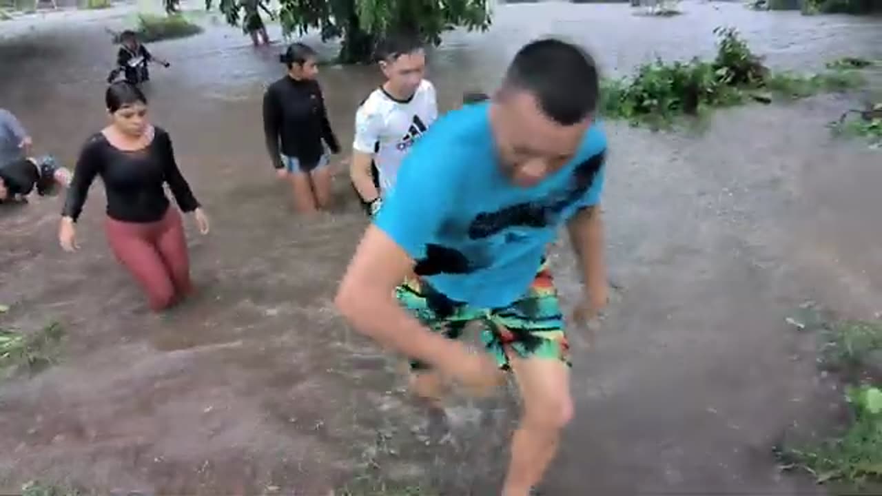 El karma le llego rápido al Diablo🤣 El poder de la Naturaleza boto este gran árbol de mas de 60 años