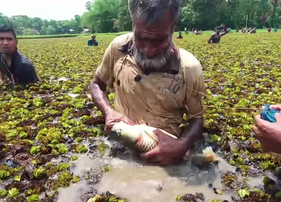 Amazing Fish Hunting Match today 17-05-2021