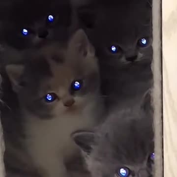 What is this elf with the the blue light.