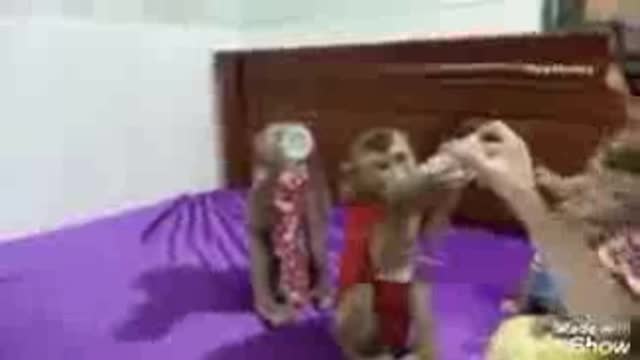 Obedient Dodo Mori Donal And Moly Sitting Wait Mom Mixed Milk