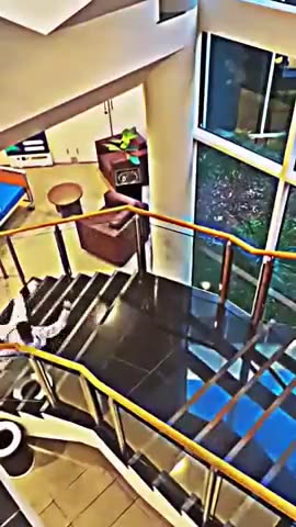 "HEY WAIT! ARE THEY DEAD?!?"😳🚑🏥