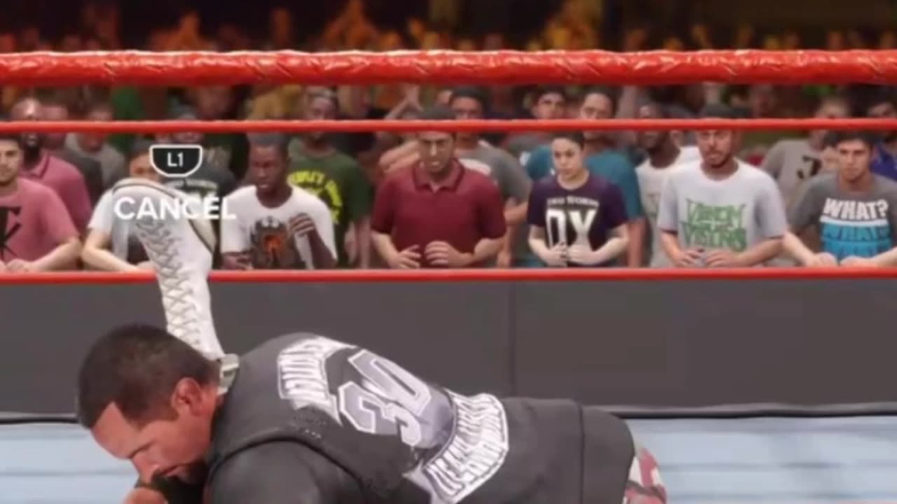 Dudley Boyz 3D On Hardcore Holly #shorts