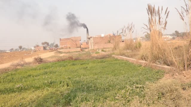 Beautiful House in Village under maintenance and beautiful view around the house