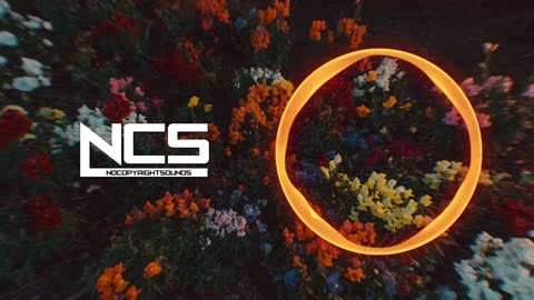 Raude - high4aminute [NCS Release]