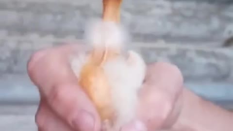 Nothing Takes The Concentration Off This Chicken