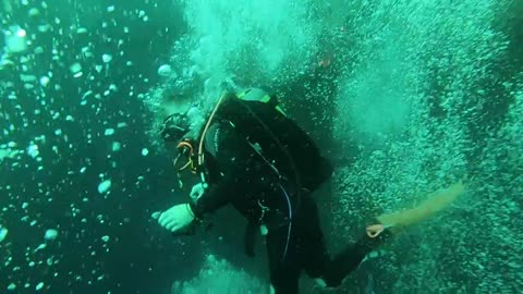 Dive on the USS Oriskany