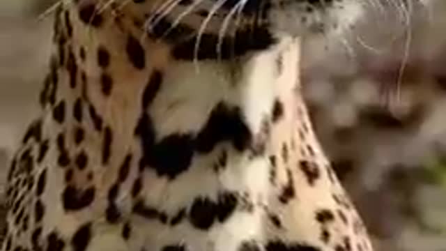 Majestic raw power of nature. Respect.