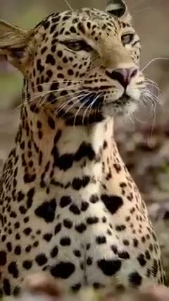 Majestic raw power of nature. Respect.