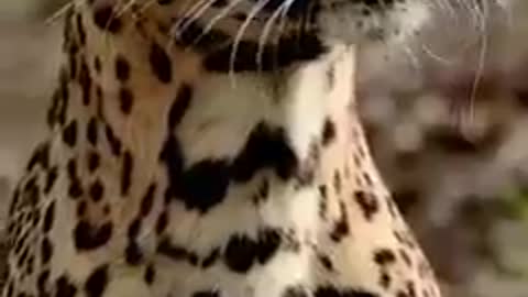 Majestic raw power of nature. Respect.