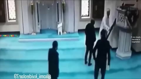 Best funny videos