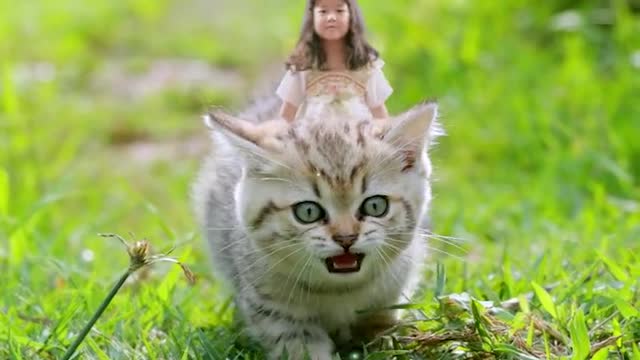 beautiful little girl and kitten