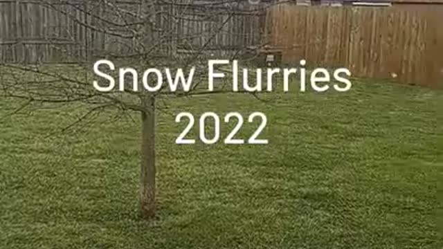Snow Flurries