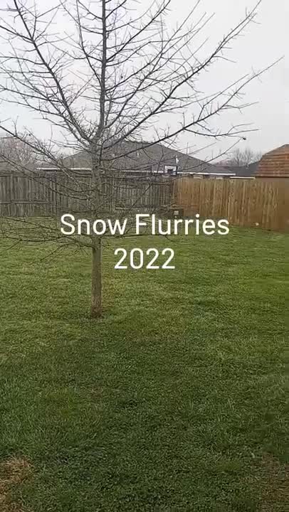 Snow Flurries