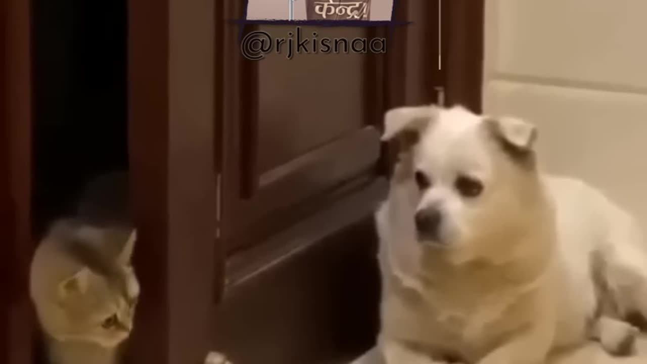 Funny hindi clip enjoy 🤣🤣🤣🤣🤣🤣