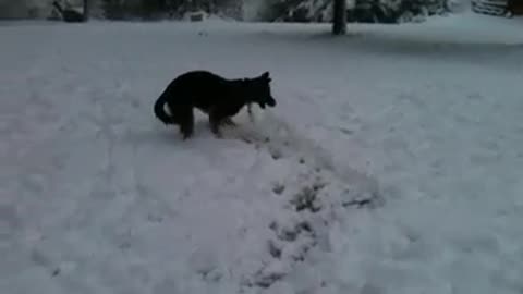 Nimah & Krissy in snow up on mountain
