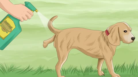 How to keep your dogs off the lawn.