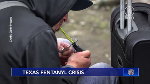 Texas Fentanyl Crisis DOCUMENTARIO L'epidemia di farmaci oppioidi sintetici a base di fentanyl in Nord America.oltre i senzatetto sono pure pieni di drogati in America.la più letale crisi della droga nella storia americana