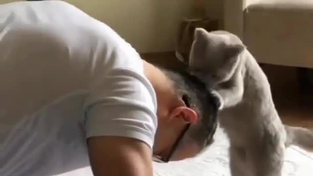 Personal trainer 💪🏽🐈 Love cats? Like & Share