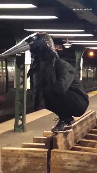 Person bird head mask standing on benches