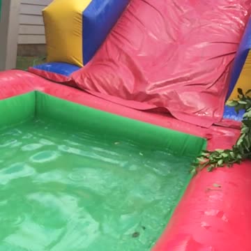 Man Tries to Slide Down Bounce House Into Pool But Falls Into Tree
