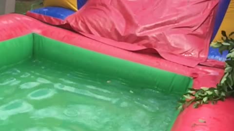 Man Tries to Slide Down Bounce House Into Pool But Falls Into Tree