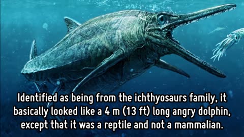 7 Mysterious Prehistoric Sea Monsters